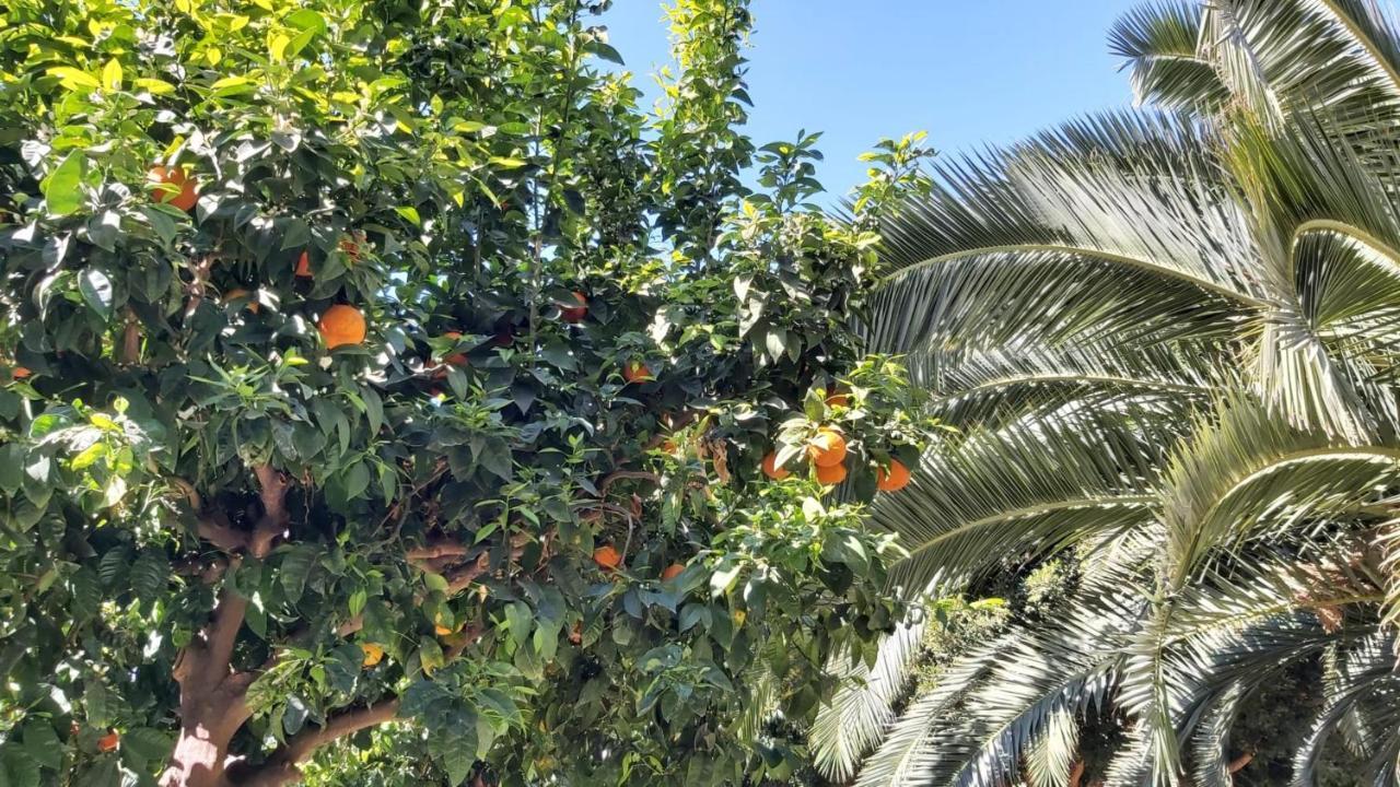 Del Parque Flats Urban Apartman Málaga Kültér fotó